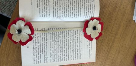 whatsapp image 2025 05 16 at 9.39.34 am  