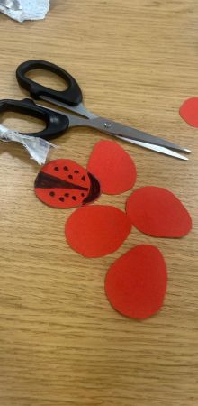 whatsapp image 2025 05 22 at 8.26.39 pm  