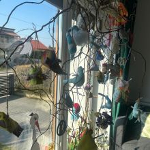 487799986 122152785338503483 n