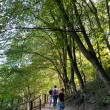 whatsapp image 2025 08 22 at 10.08.37 am  