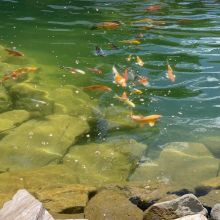 whatsapp image 2025 07 28 at0.57.43 am  