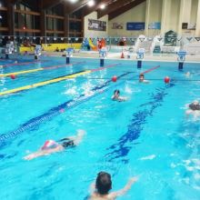 szkola podstawowa w kazimierzu dolnym