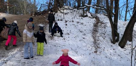 projekt bez nazwy   2026 02t113503.114