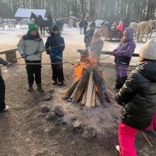 projekt bez nazwy   2026 02t113611.782