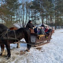 projekt bez nazwy   2026 02t113748.244