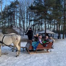 projekt bez nazwy   2026 02t113857.659