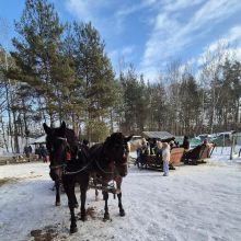 projekt bez nazwy   2026 02t113930.595