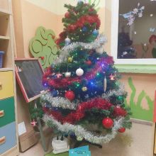 projekt bez nazwy   2026 02t115253.479