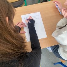 projekt bez nazwy   2026 02t094816.809